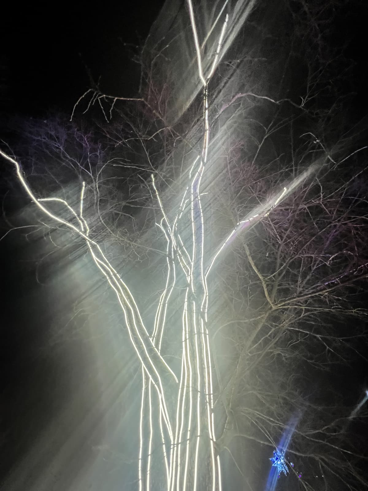 This image shows a striking nighttime scene where a tree is illuminated by bright, glowing lights. The lights seem to trace the contours of the tree branches, creating an ethereal, almost otherworldly effect. Light rays stream through the scene, adding a sense of motion and depth, while the dark sky contrasts sharply with the luminous lines of the branches. The effect is dreamlike, as if the tree itself is radiating light or part of an art installation designed to highlight nature in a surreal, illuminated form. The mix of natural and artificial elements gives it a mystical, enchanted atmosphere.