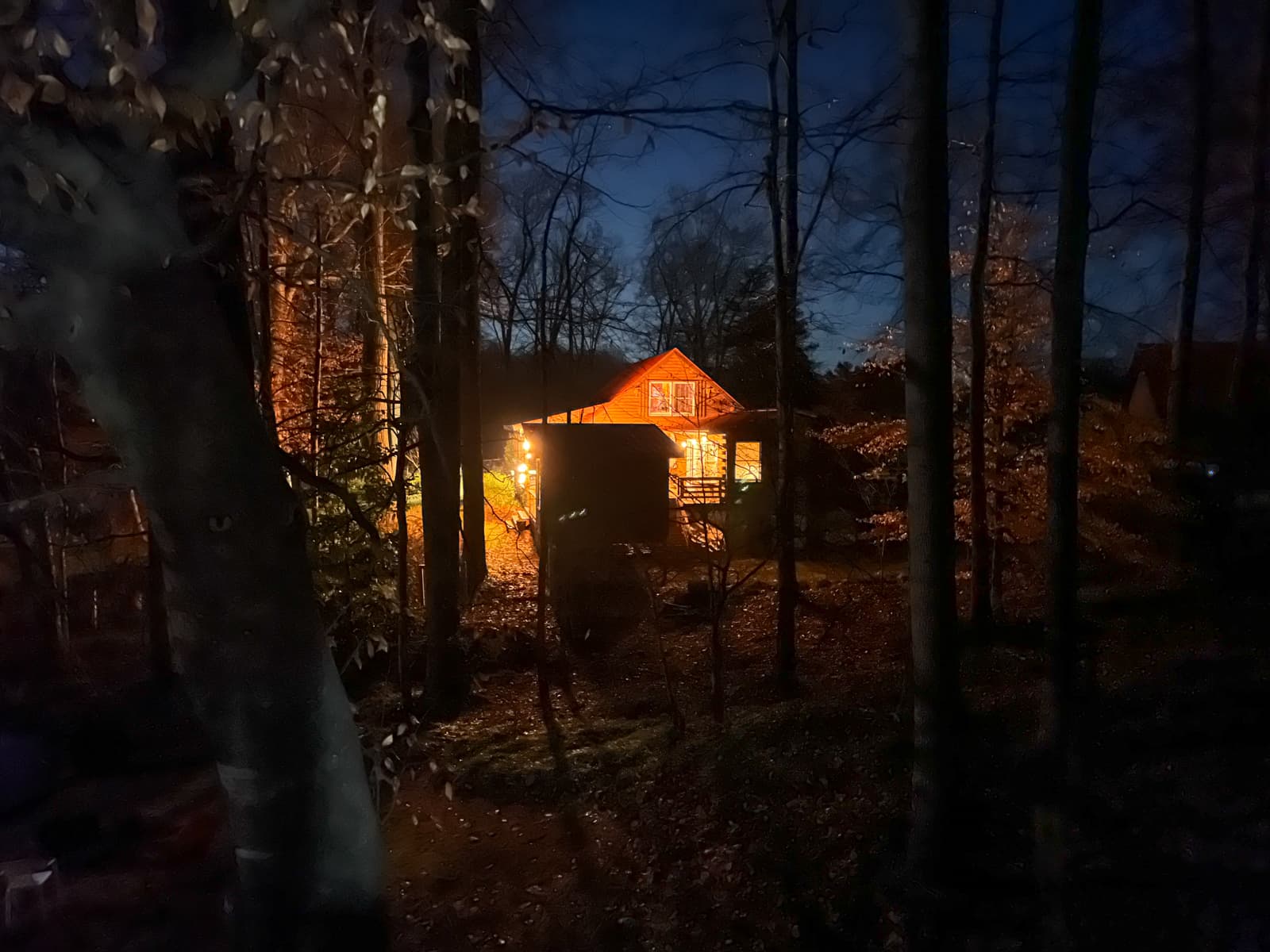 A cozy, warmly lit cabin surrounded by trees in a dark forest. The glow from the cabin contrasts with the deep blue sky and dark silhouettes of the trees, creating a tranquil nighttime scene with warm, inviting light spilling out into the woods.
