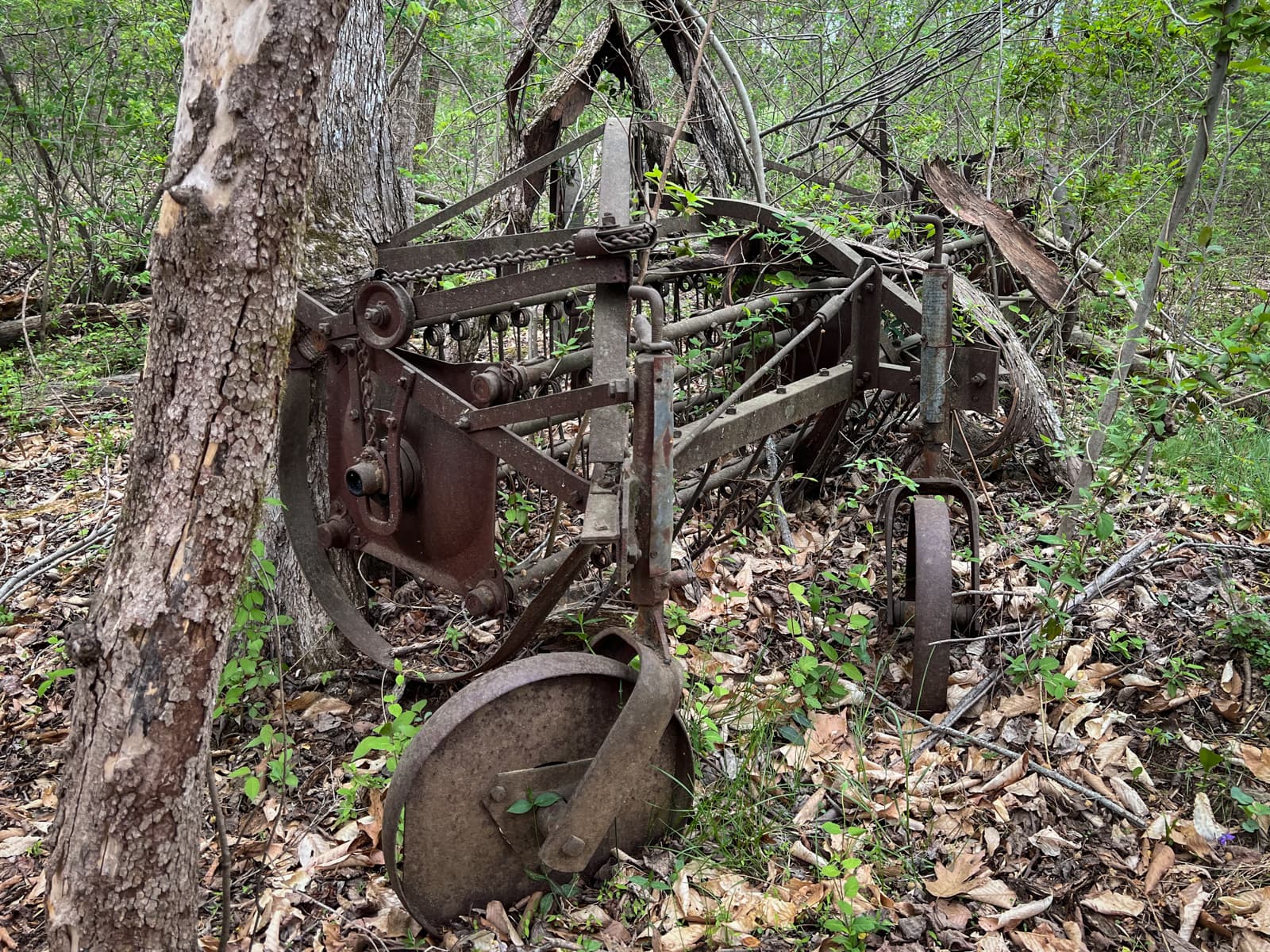 Rusty, overgrown farming equipment sits forgotten among trees in a wooded area. The metal wheels and gears are partially consumed by vines and fallen leaves, blending into the natural surroundings.