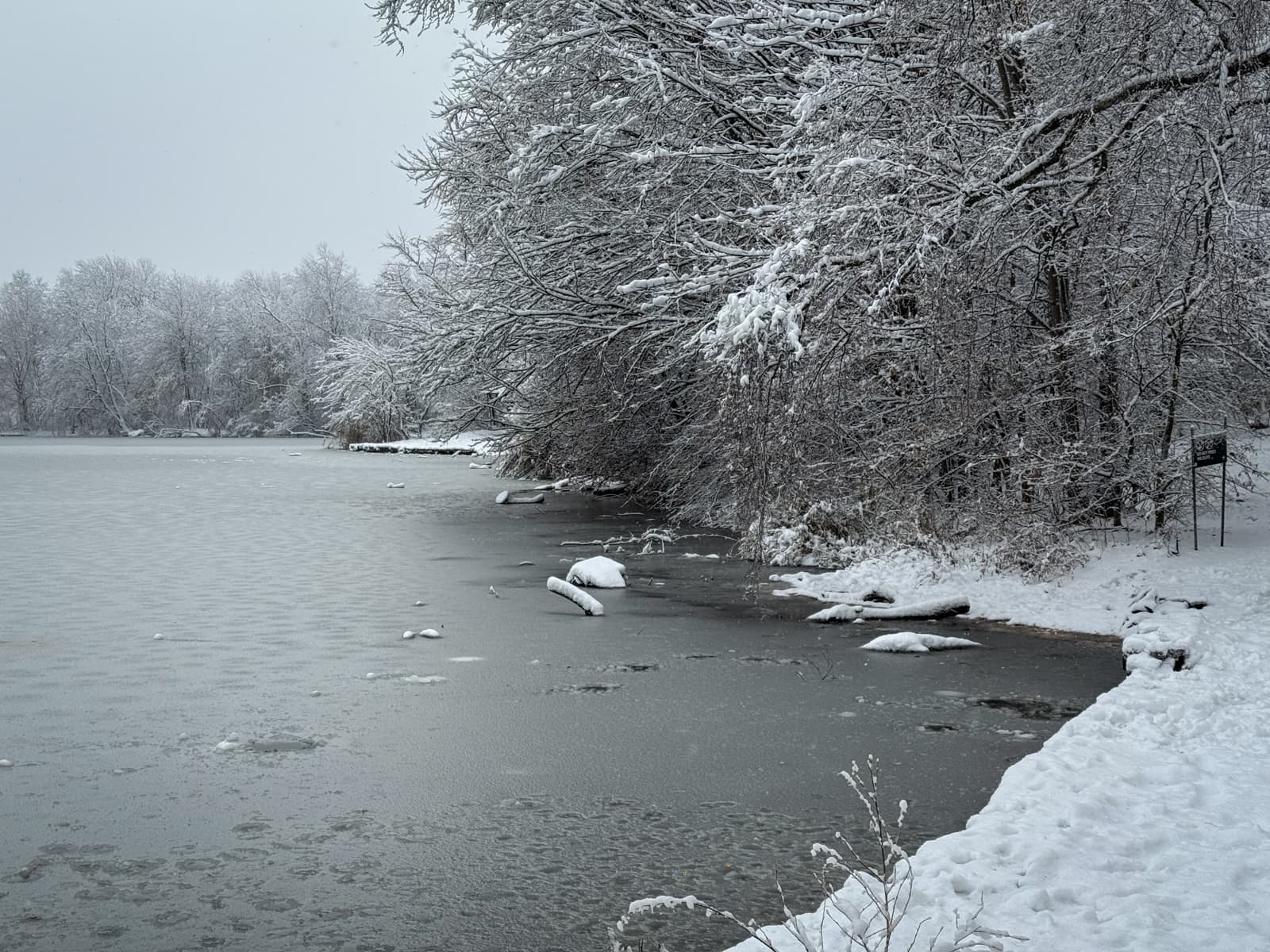 Snow-covered lakeshore with overhanging trees and a partially frozen lake under a gray winter sky. Snow blankets the branches and the shoreline, while thin ice with scattered patches forms along the water’s edge.