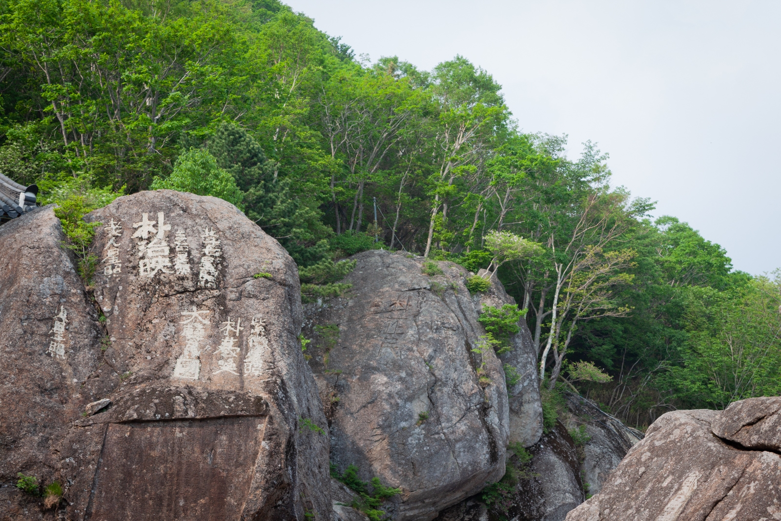 Large boulders with engraved characters surrounded by green trees, creating a peaceful, historical atmosphere in a natural setting.