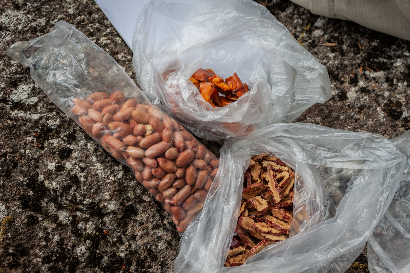 Three plastic bags containing nuts and dried fruit, resting on a rock surface during an outdoor meal.