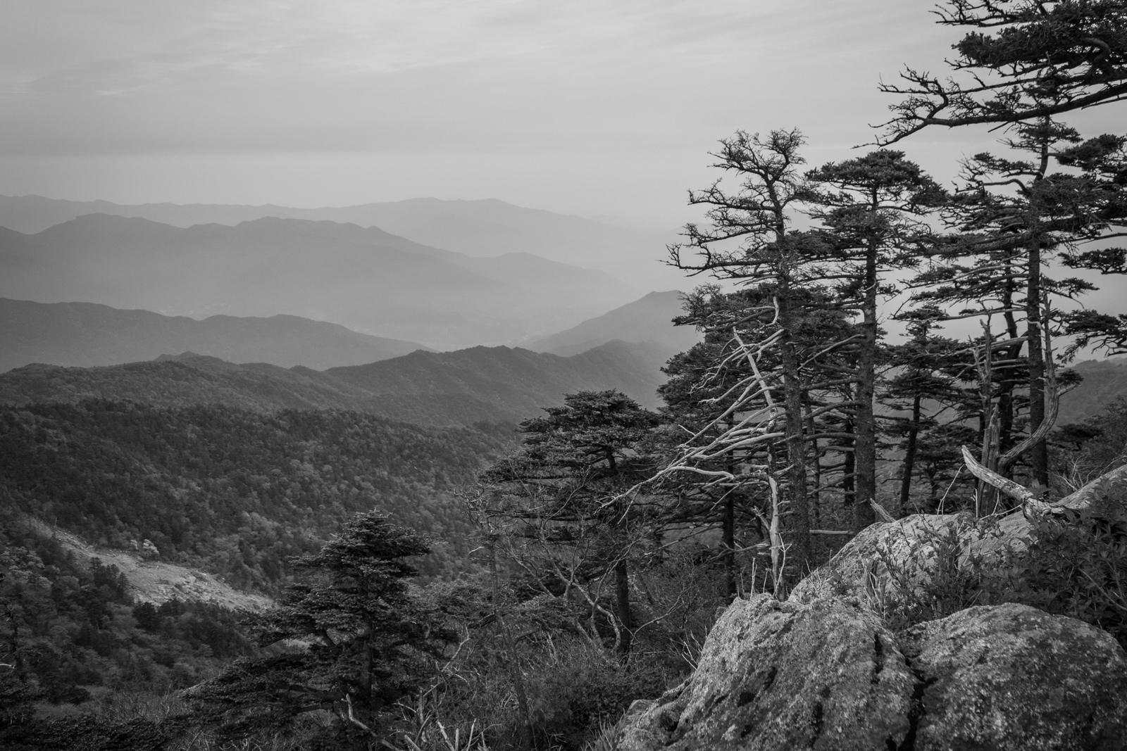 A black and white landscape showing a rugged mountain range with leafless trees in the foreground and hazy, distant peaks.