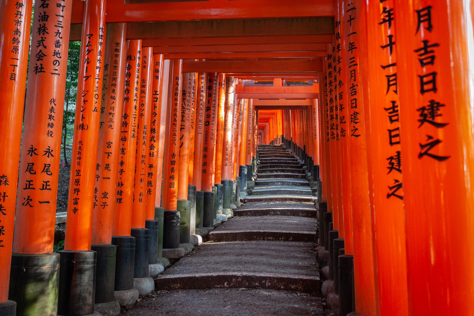 A long pathway lined with bright red torii gates at Fushimi Inari Shrine. The gates are inscribed with black kanji characters, and the path leads upward along a series of stone steps, offering a view of the seemingly endless sequence of gates.