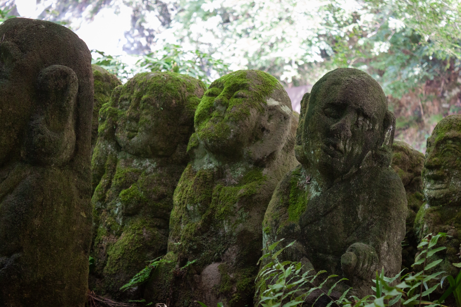 Close-up of moss-covered stone statues in a shaded part of a garden. The figures appear weathered and ancient, some with serene expressions and others with more abstract features, surrounded by ferns and plants.