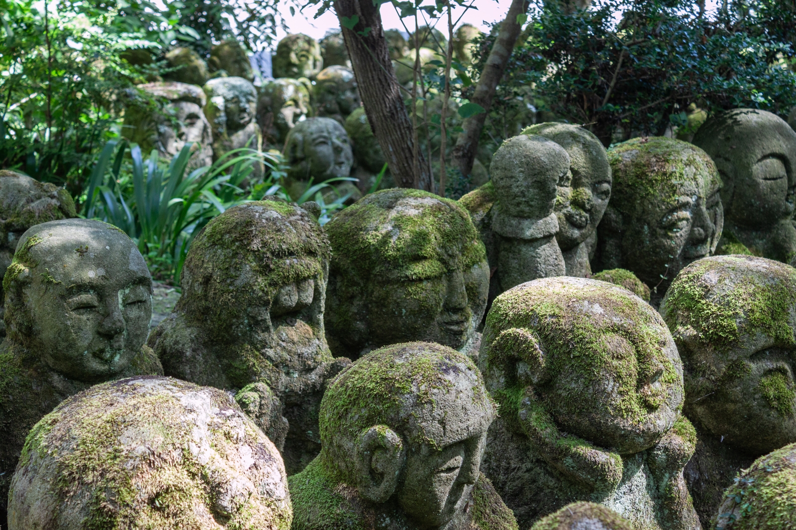 A collection of moss-covered stone statues depicting various human-like figures. Some statues have serene expressions, while others appear to be smiling or in contemplation, all surrounded by greenery in a shaded area of the garden.