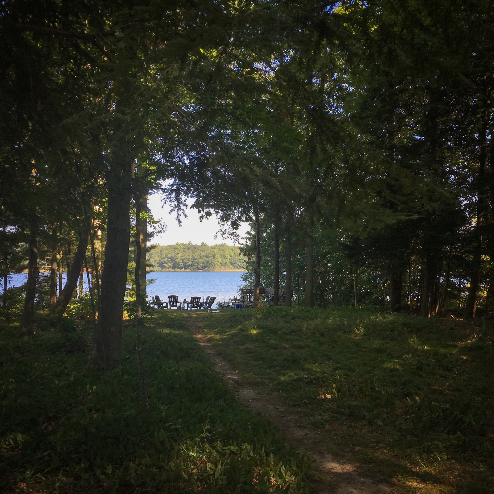 A shaded forest path leading to a lakeside clearing, where several Adirondack chairs are arranged in a circle. The calm blue water and distant tree line are visible beyond the trees, creating a peaceful and secluded scene.