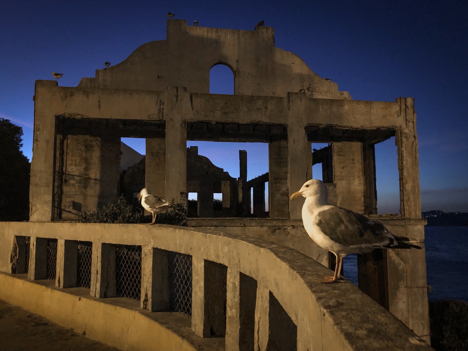 A nighttime scene featuring a weathered, abandoned building with crumbling walls. Two seagulls perch on the edge of a curved concrete railing in the foreground, while more seagulls are visible on top of the building. The dark blue sky and the dim lighting create a haunting and atmospheric mood, with the silhouettes of the building's archways adding to the desolate feel.