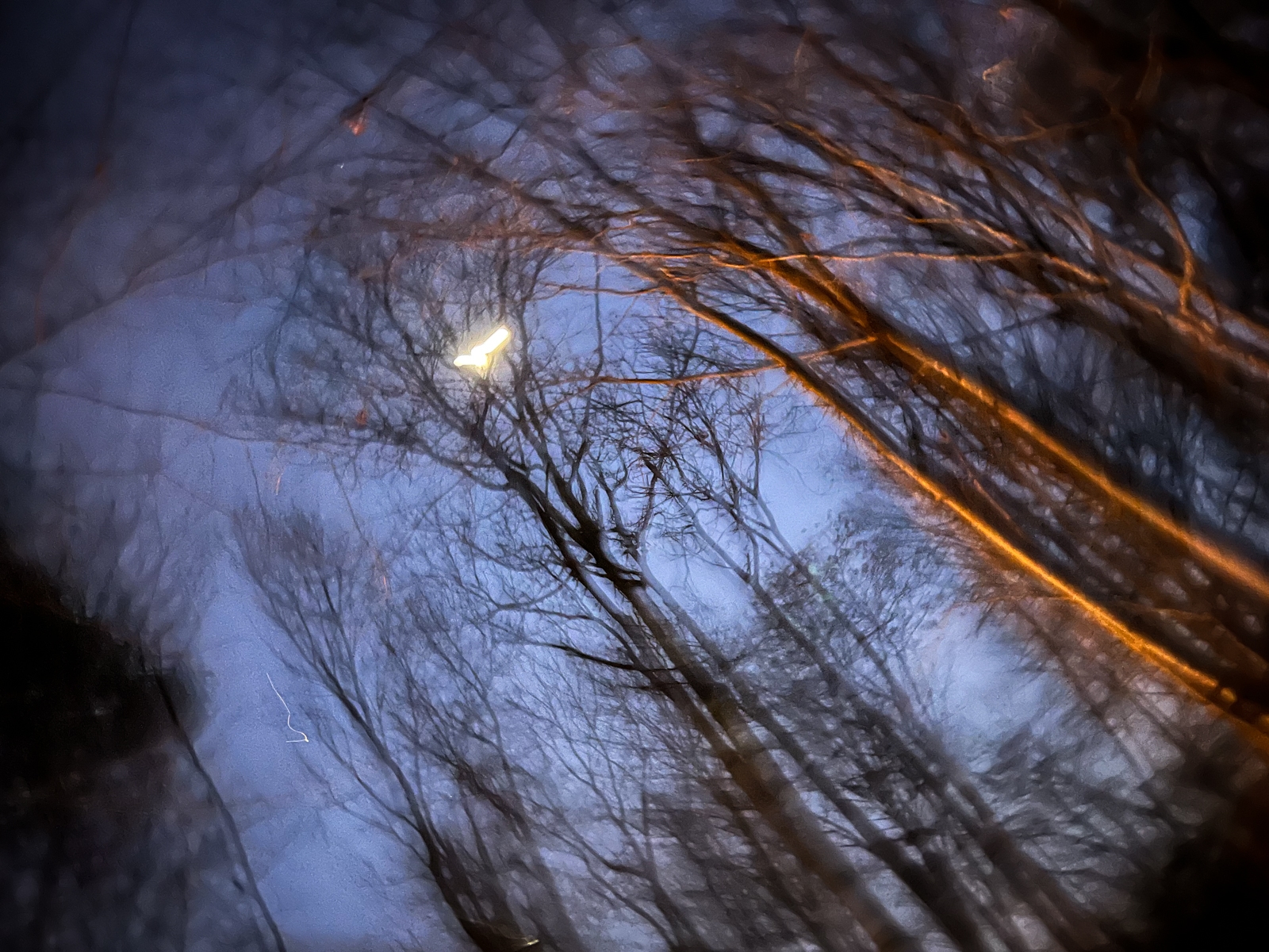A blurred, dreamlike image of bare tree branches reaching toward the sky, with warm orange light reflecting off the trunks. In the center, a glowing light source, possibly the moon or a streetlamp, shines through the branches, creating a surreal and slightly abstract effect. The overall atmosphere feels ethereal and mysterious, with a blend of dark and warm tones against the twilight sky.