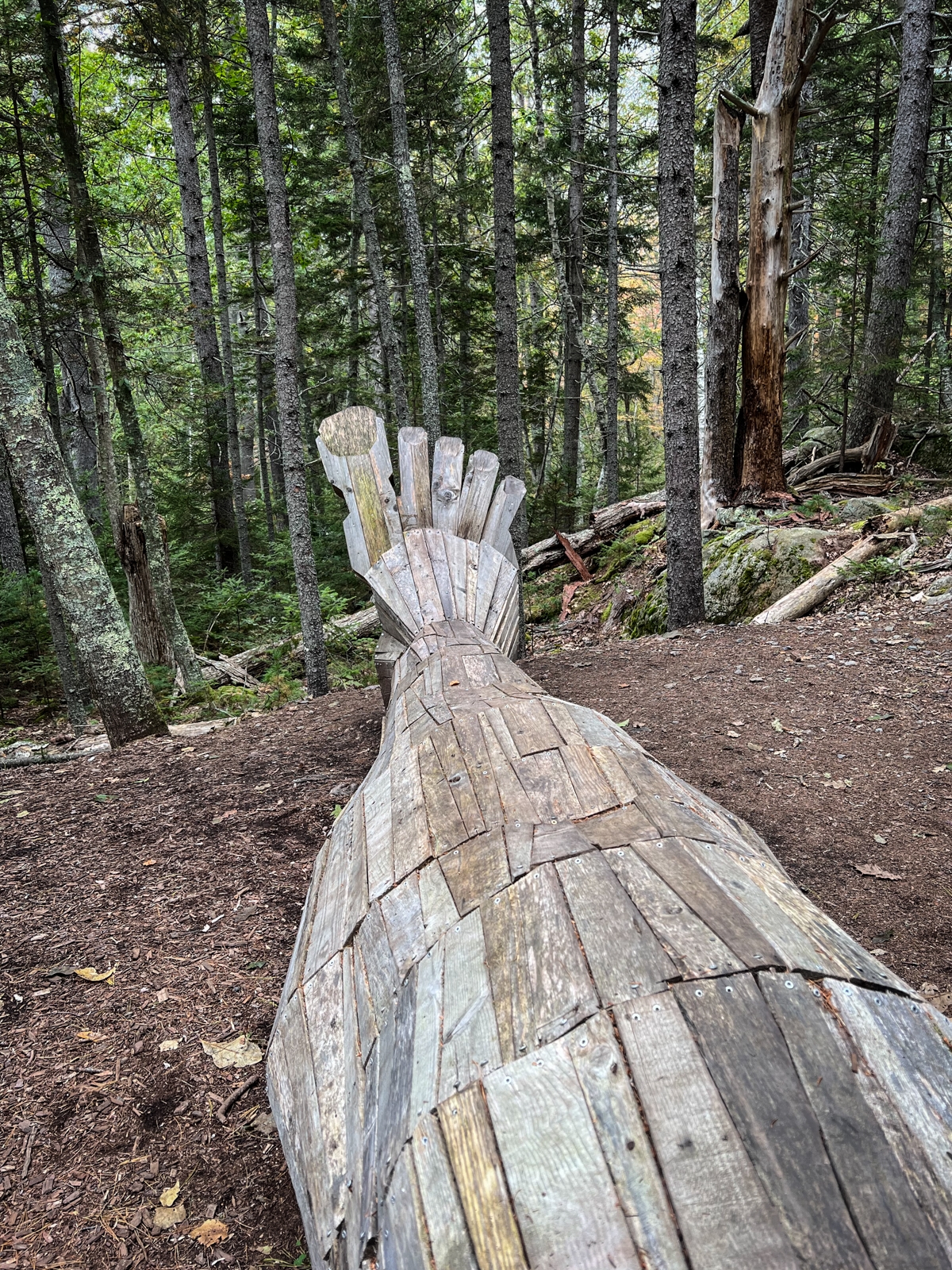 A large wooden sculpture of a giant foot lying in the forest, with intricate paneling detail on the wooden surface, surrounded by tall trees.