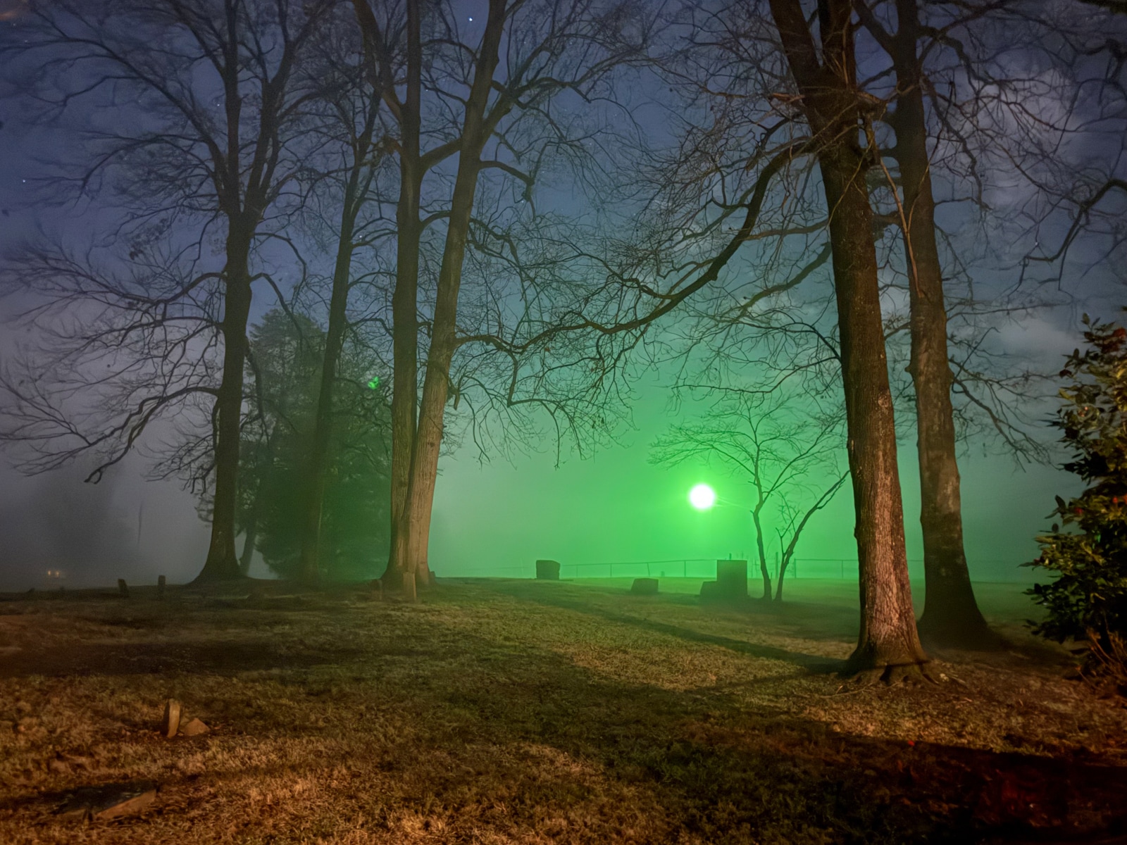 Foggy nighttime landscape with leafless trees and a bright green light glowing through the mist in the distance.