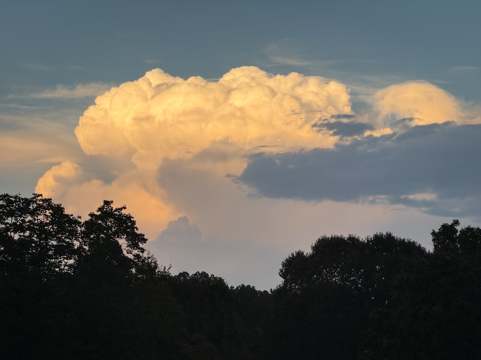 A towering cumulonimbus cloud glowing warm orange and gold in the light of sunset, rising against a blue-gray sky above a dark silhouetted treeline.