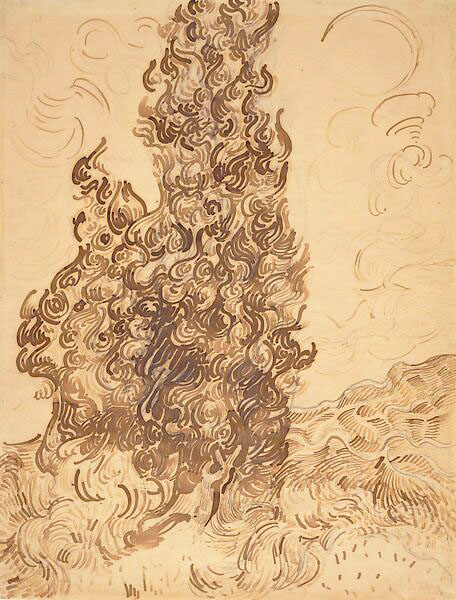 This detailed ink drawing shows Van Gogh’s swirling, dynamic style applied to a towering cypress tree. The motion in the lines brings the tree to life, almost as if it's swaying in the wind.