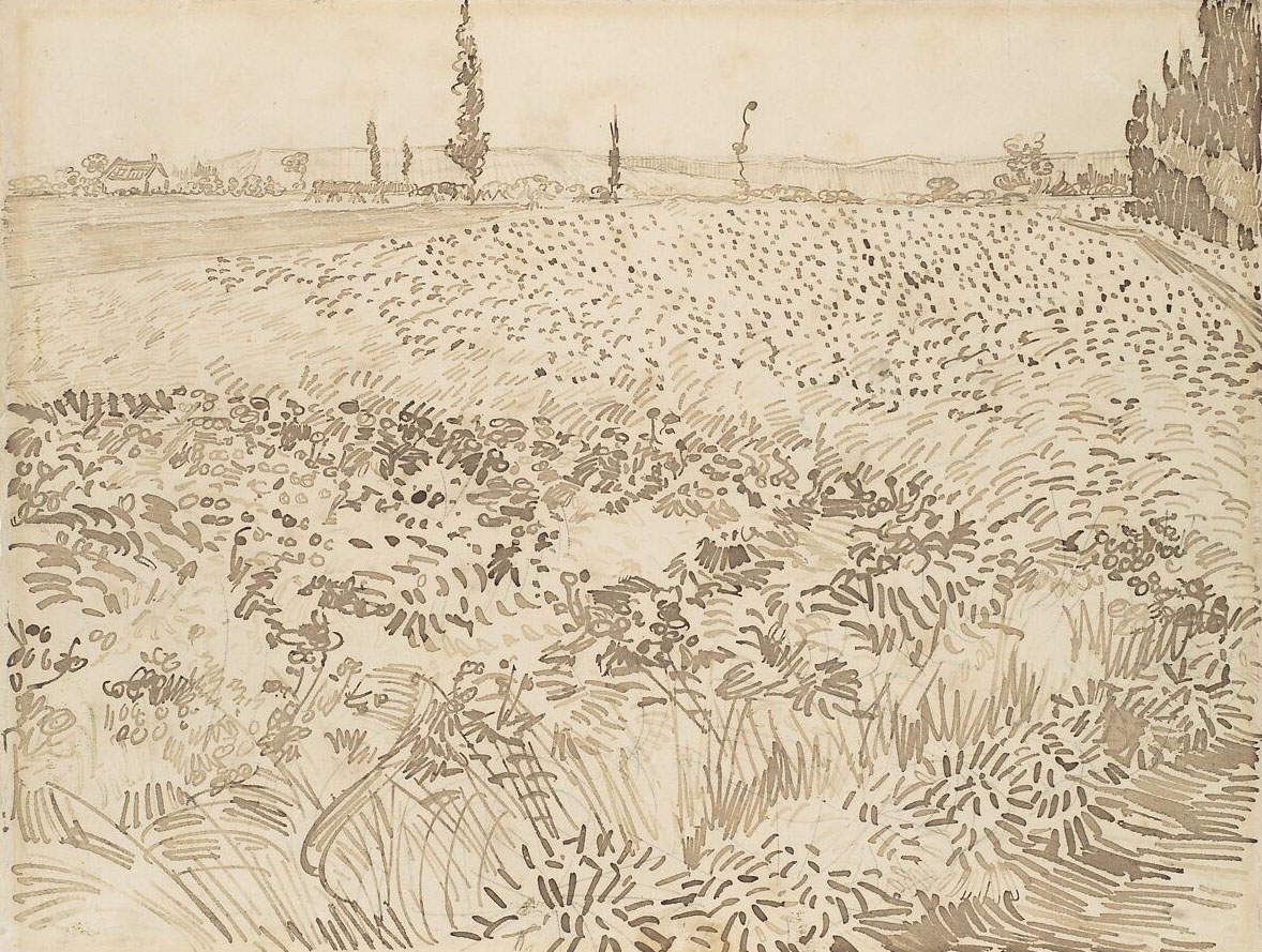 This drawing portrays a wide, open field with a few distant cypress trees dotting the horizon. The field is depicted with sweeping, rhythmic lines, creating a sense of expansiveness and calm.