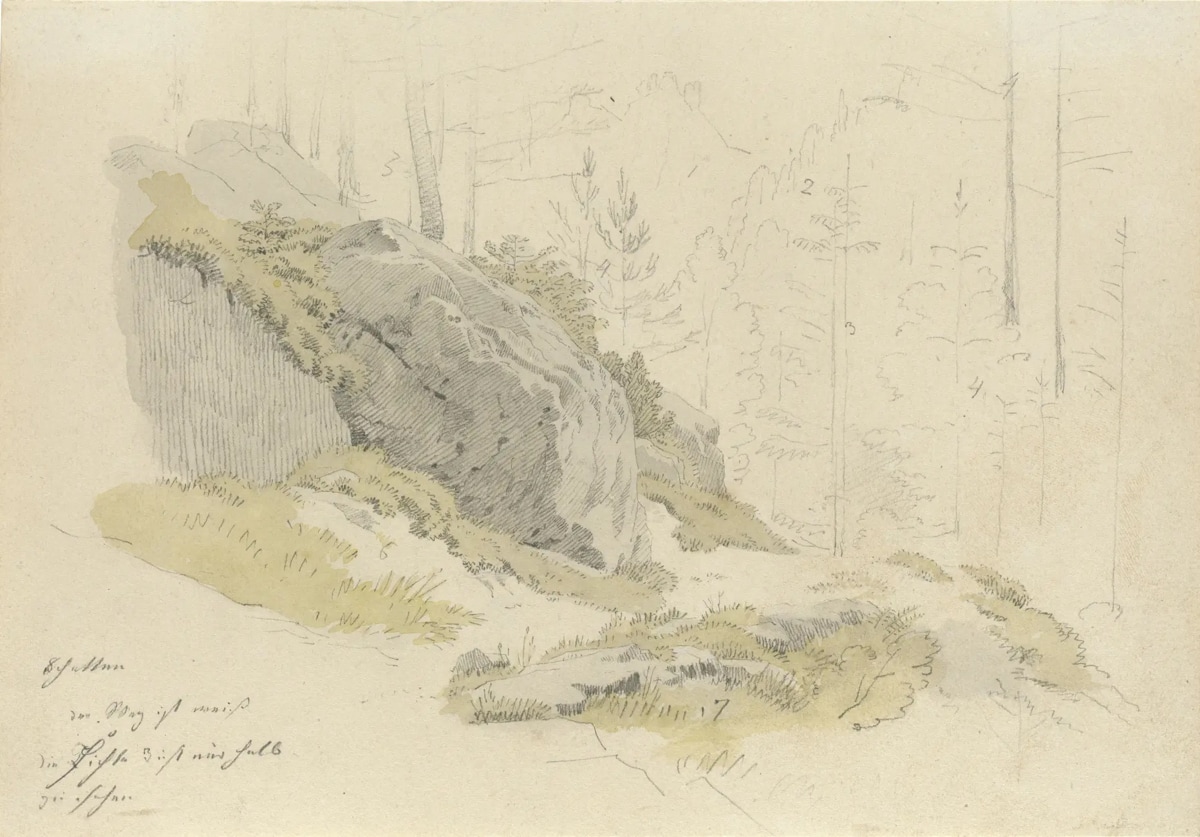 A pencil and watercolor study of a mossy rock formation in a quiet forest. Gentle shading and notations suggest a contemplative observational study, with trees fading softly into the background.