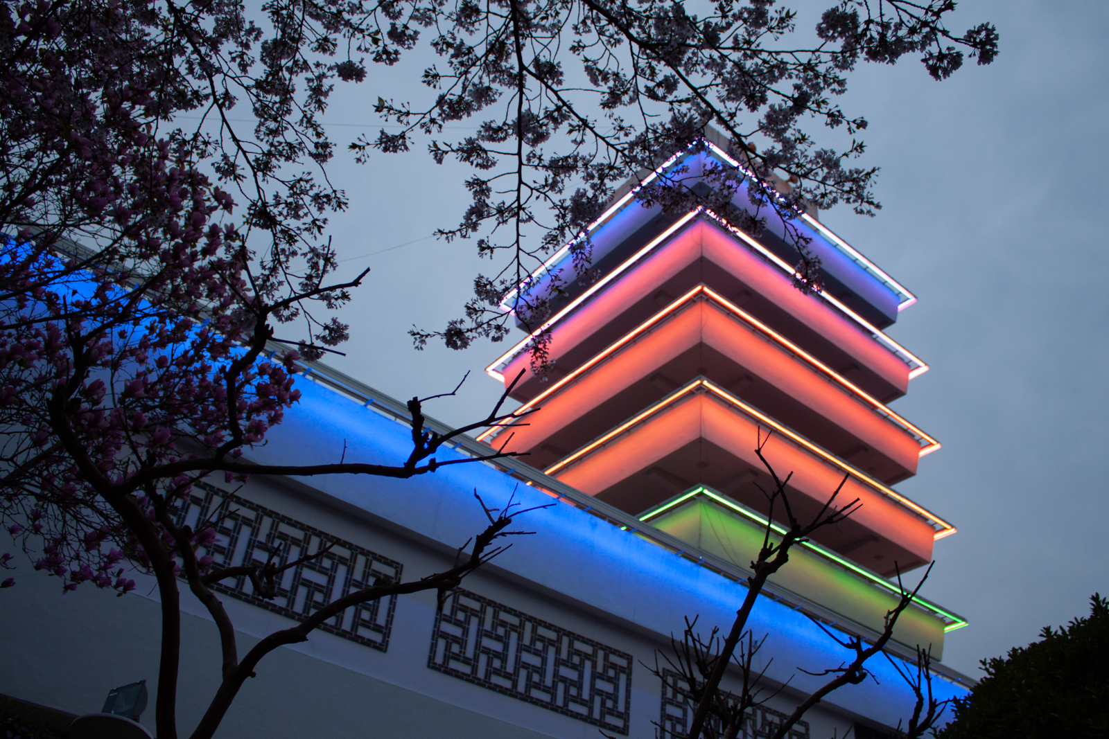 This image depicts a multi-tiered pagoda-style structure illuminated by vibrant neon lights in various colors, including blue, pink, and green, set against the evening sky. The glowing edges of the building's layers give it a modern, almost futuristic appearance while maintaining its traditional architectural form. In the foreground, branches of cherry blossom trees frame the scene, their delicate flowers adding a natural contrast to the geometric and brightly lit building. The juxtaposition of the glowing pagoda with the blooming branches creates a harmonious blend of nature and human-made beauty, evoking a tranquil and festive atmosphere.