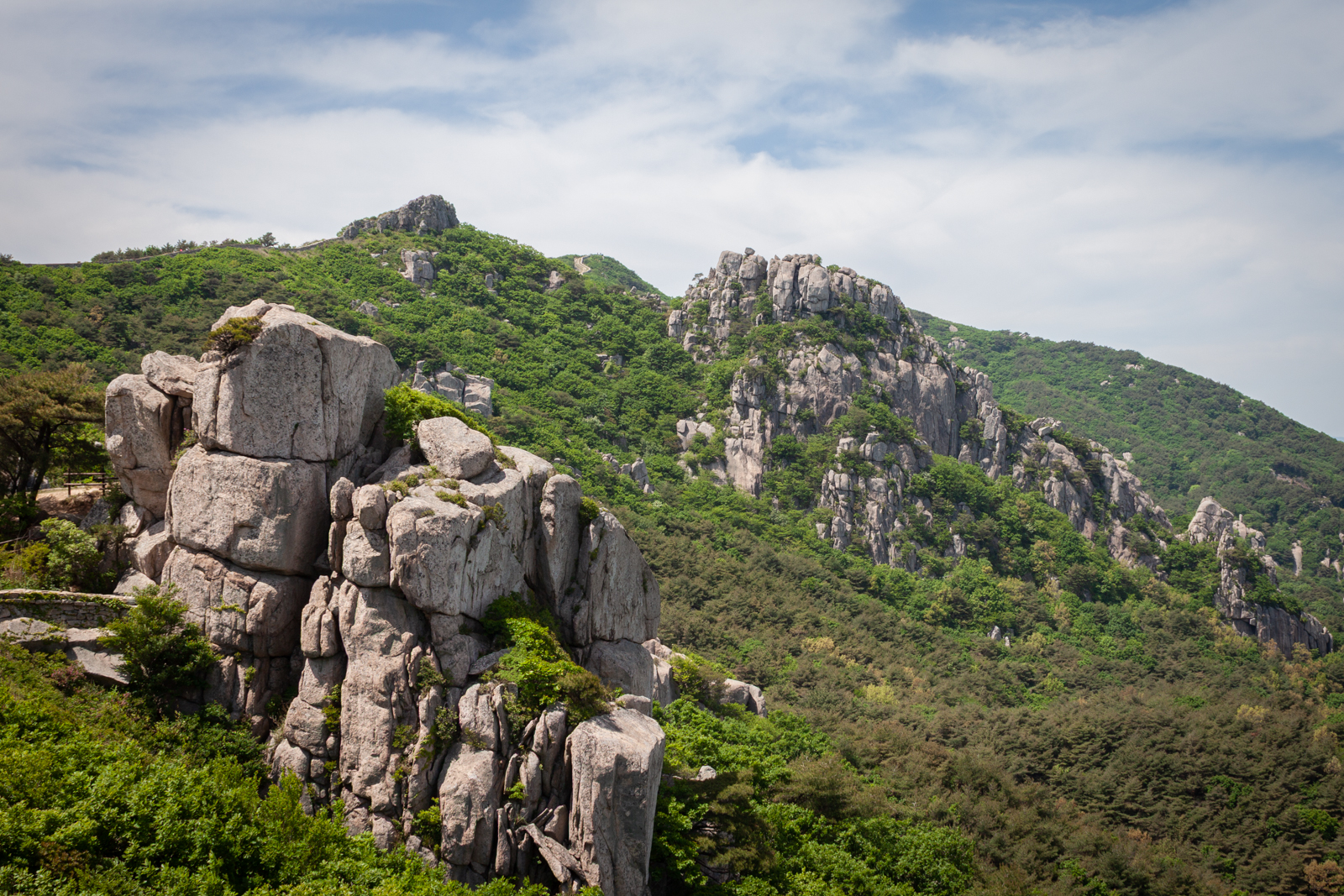A scenic view of rugged, jagged rock formations amidst a lush green forest, with a bright blue sky in the background.