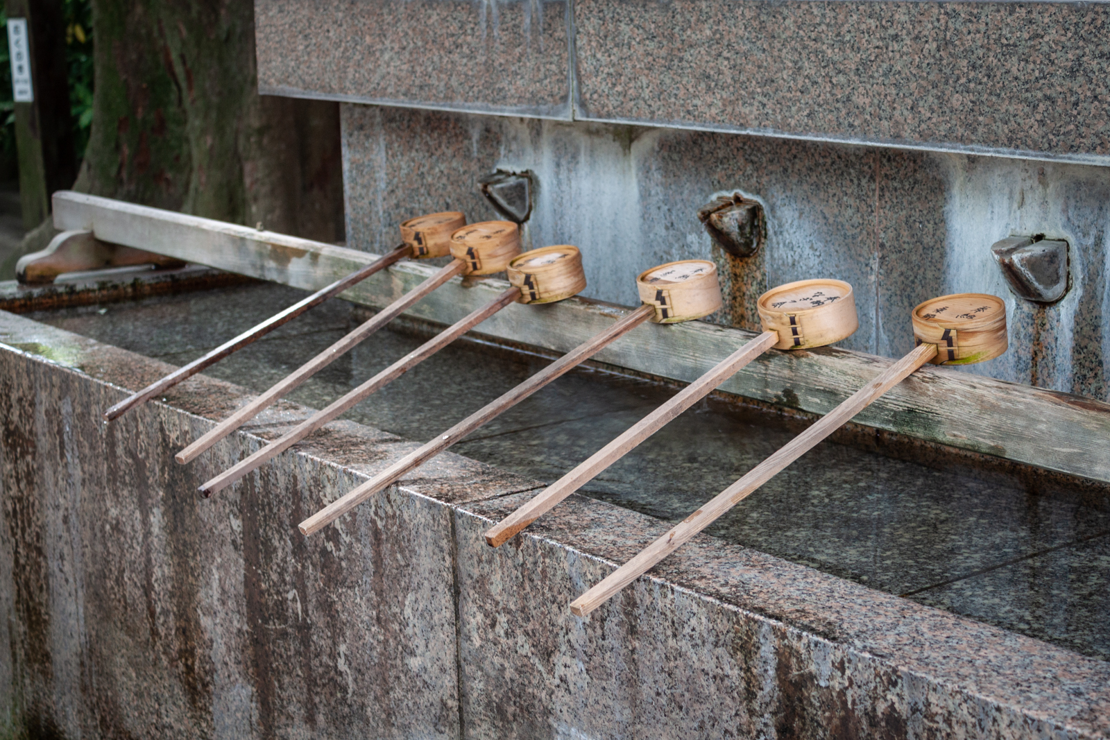 A row of wooden ladles resting on the edge of a stone purification fountain at a shrine, used for ritual hand washing.