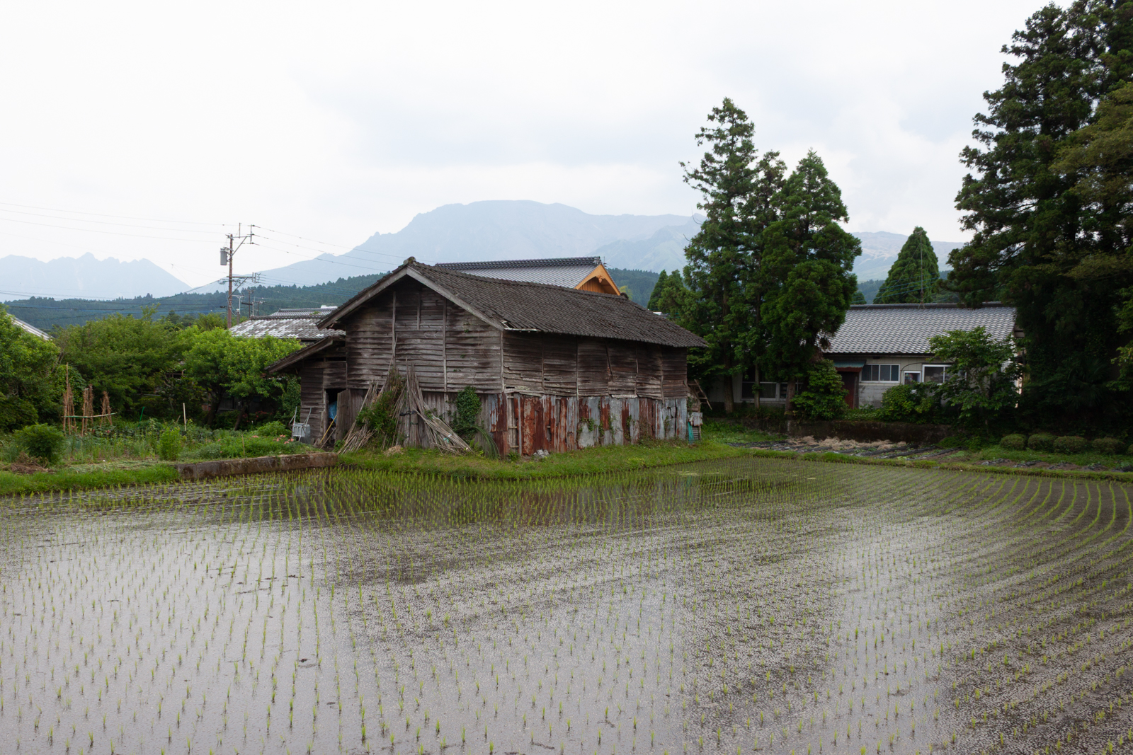 An old, weathered wooden barn sits beside a flooded rice paddy with the silhouette of distant mountains rising under an overcast sky.