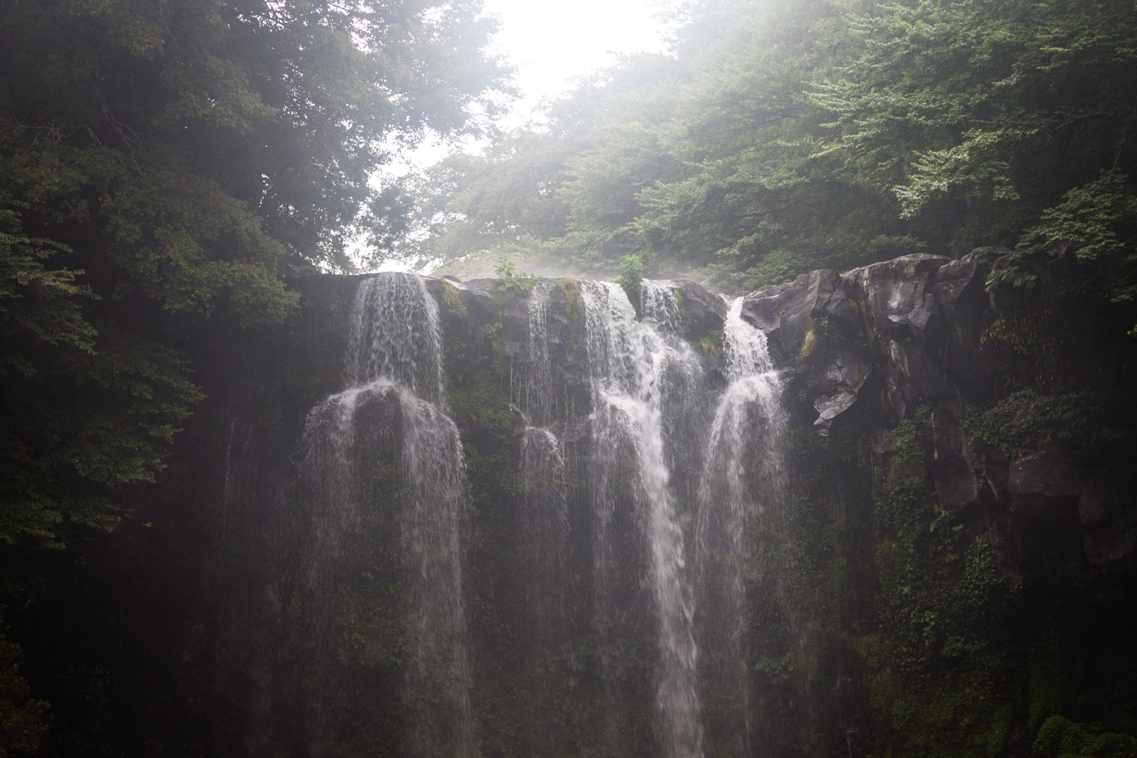 A misty waterfall cascading down a rocky cliff, surrounded by thick forest greenery.