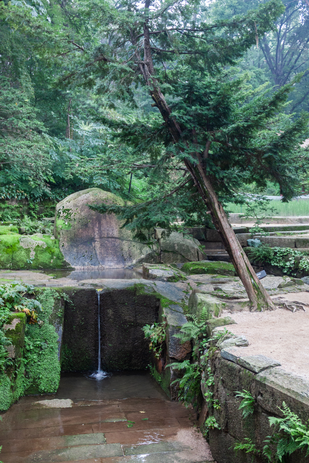A peaceful scene in a small forested area, featuring a stone-lined water feature with a thin waterfall trickling into a shallow pond. Greenery surrounds the stone and wooden elements, contributing to the tranquil atmosphere.