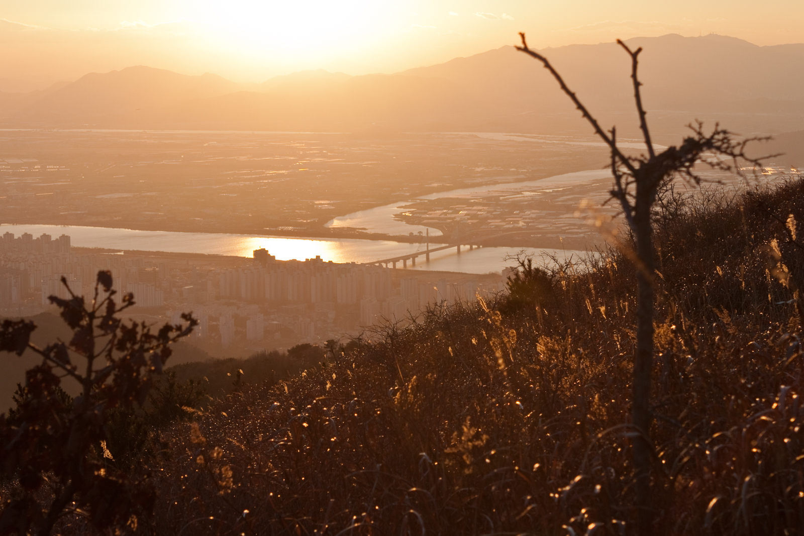 Golden sunlight shining over a grassy hilltop, with a bridge and cityscape visible in the distance, evoking a peaceful evening scene.