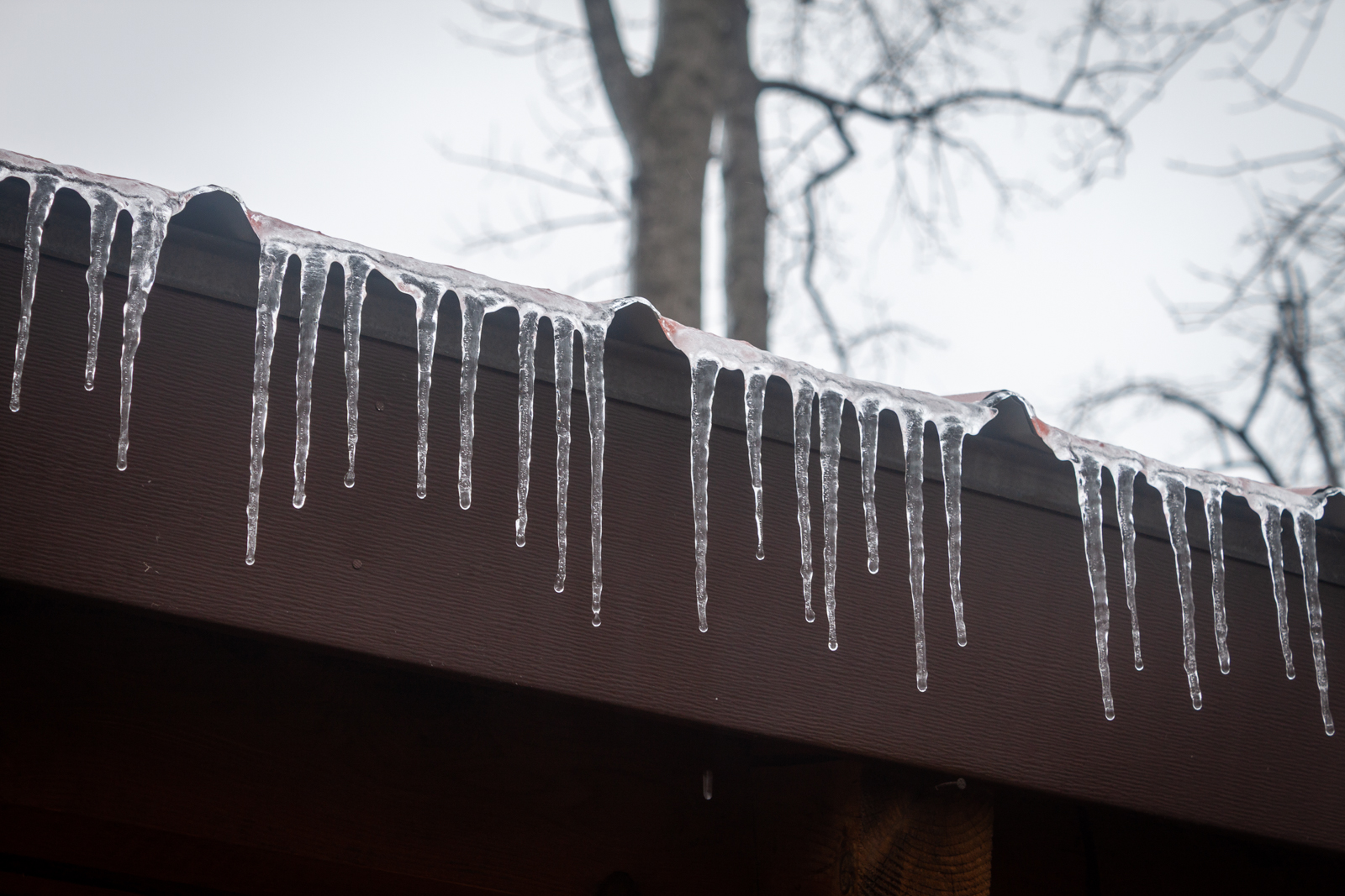 A close-up of icicles hanging from the edge of a roof, each icicle formed into delicate, tapering shapes. In the background, blurred trees emphasize the cold, wintry setting.