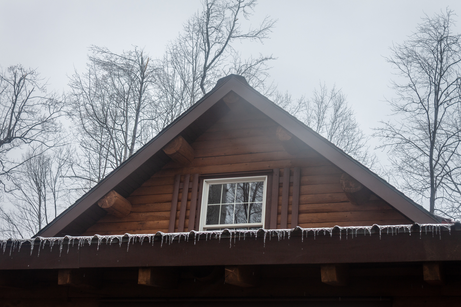The roof of a wooden cabin with icicles hanging along the eaves. The trees surrounding the cabin are bare, and the scene is framed against a cold, cloudy sky, highlighting the stillness of winter.