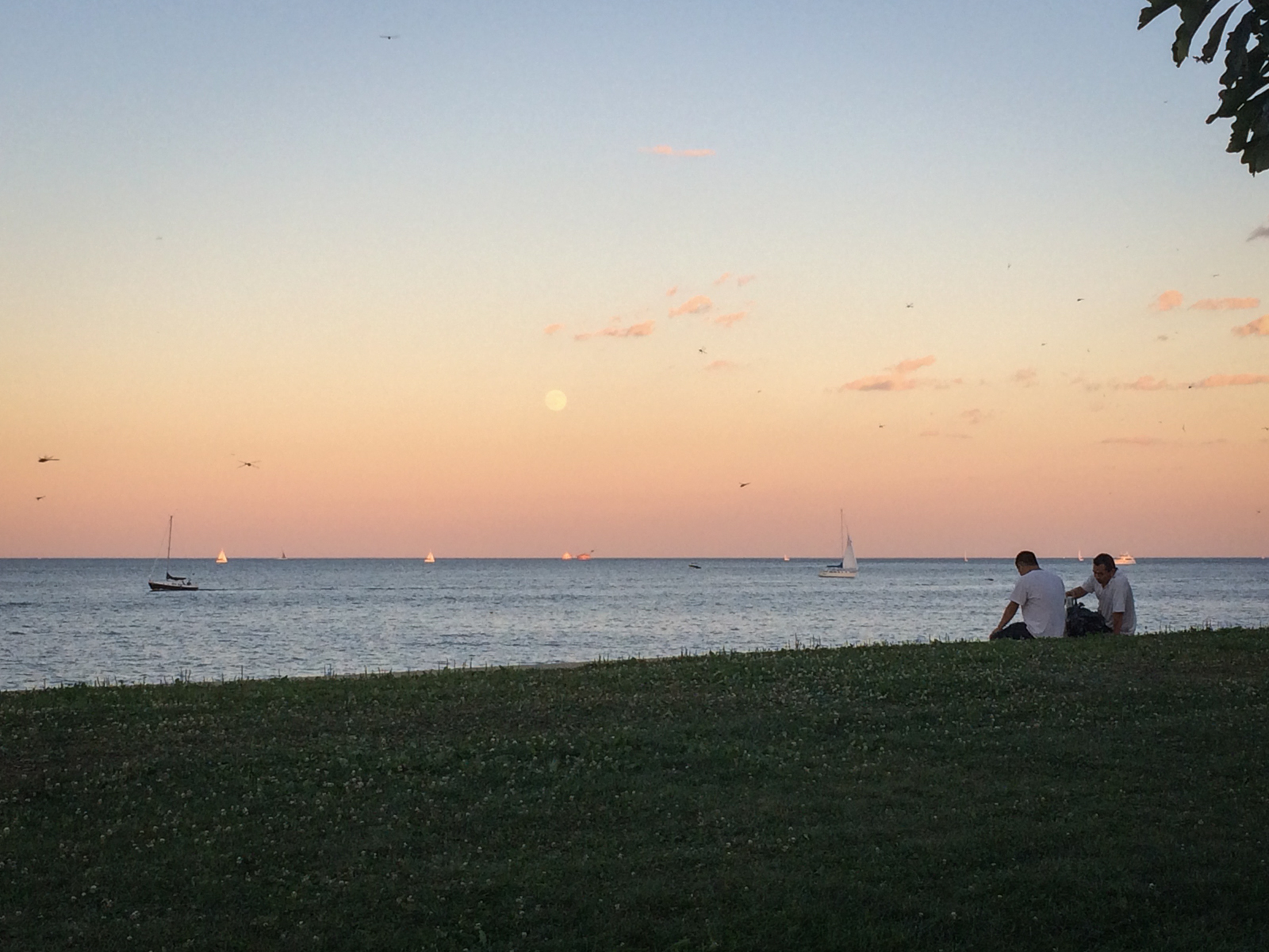 Peaceful sunset by the water, with sailboats scattered across the horizon. The sky is painted in soft pastel hues of pink and orange, with the moon faintly visible. Two people sit on the grass in the foreground, enjoying the tranquil view.