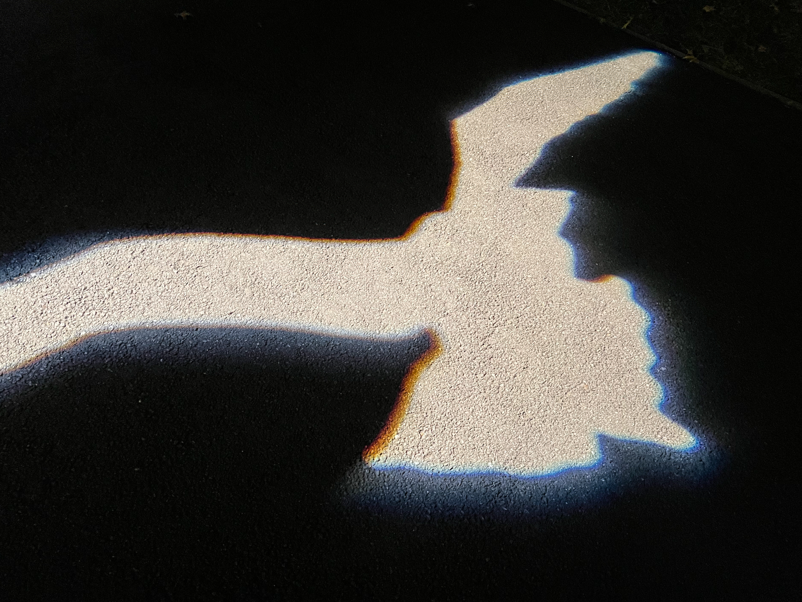 A bright, illuminated outline of a bird in flight, projected onto a dark pavement. The shape of the bird is sharply defined, and the edges of the light create a glowing, rainbow-like effect, adding a surreal and vivid quality to the image. The contrast between the dark ground and the luminous bird form is striking.