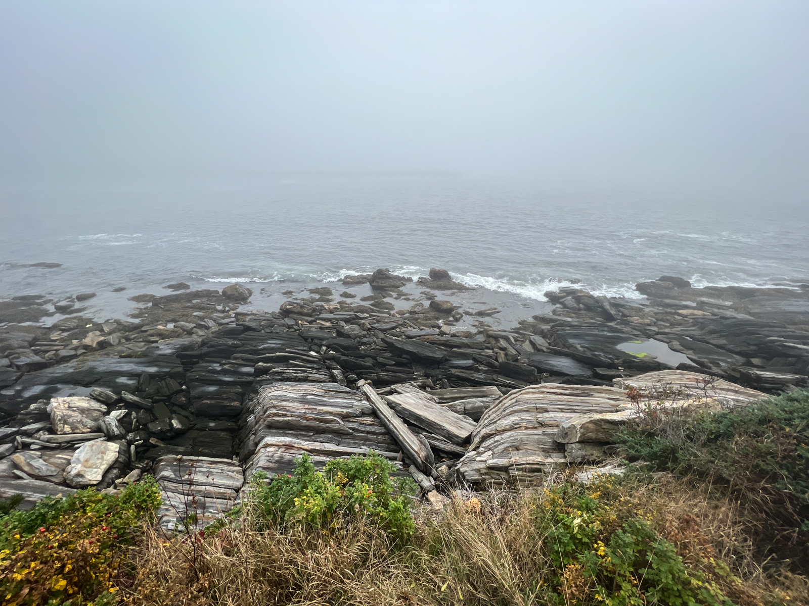 This image depicts a foggy coastal scene, where the mist blends the horizon with the sea, creating a mysterious and serene atmosphere. In the foreground, jagged, layered rock formations stretch toward the water, their textures visible despite the mist. The rocks have a weathered, striped appearance, shaped by the forces of nature over time. Gentle waves break against the shore, but the fog obscures much of the distance, giving the scene a sense of calm isolation. The surrounding greenery, including shrubs and small plants, adds a touch of color to the muted tones of the rocky coastline.
