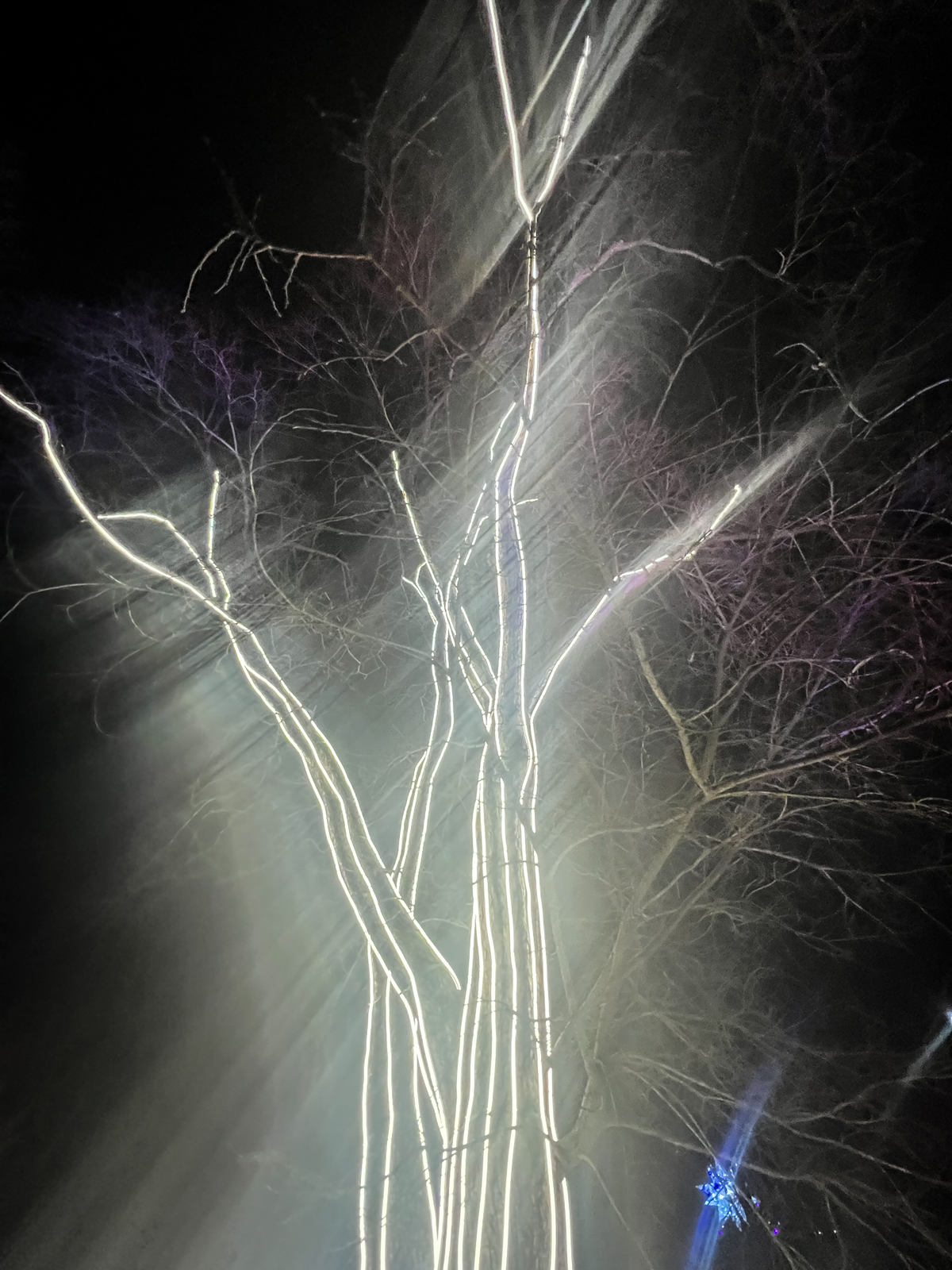 This image shows a striking nighttime scene where a tree is illuminated by bright, glowing lights. The lights seem to trace the contours of the tree branches, creating an ethereal, almost otherworldly effect. Light rays stream through the scene, adding a sense of motion and depth, while the dark sky contrasts sharply with the luminous lines of the branches. The effect is dreamlike, as if the tree itself is radiating light or part of an art installation designed to highlight nature in a surreal, illuminated form. The mix of natural and artificial elements gives it a mystical, enchanted atmosphere.