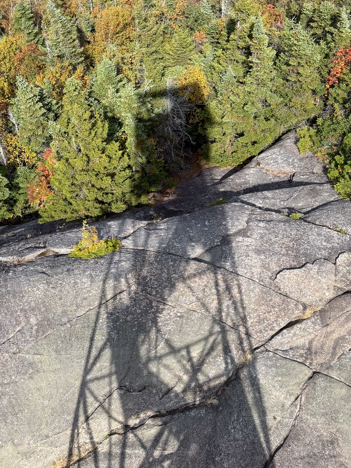 Dark shadow of a fire tower cast across a large granite slab, with green and autumn-colored trees at the edge.