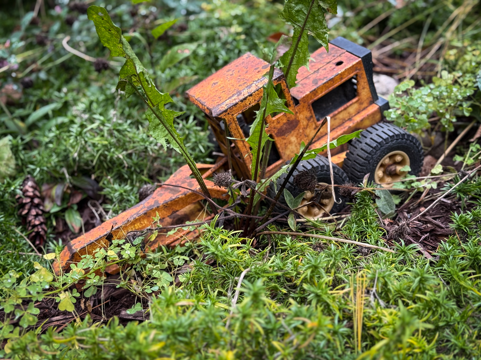 An old, rusting yellow toy truck partly hidden among green moss and plants on the forest floor.