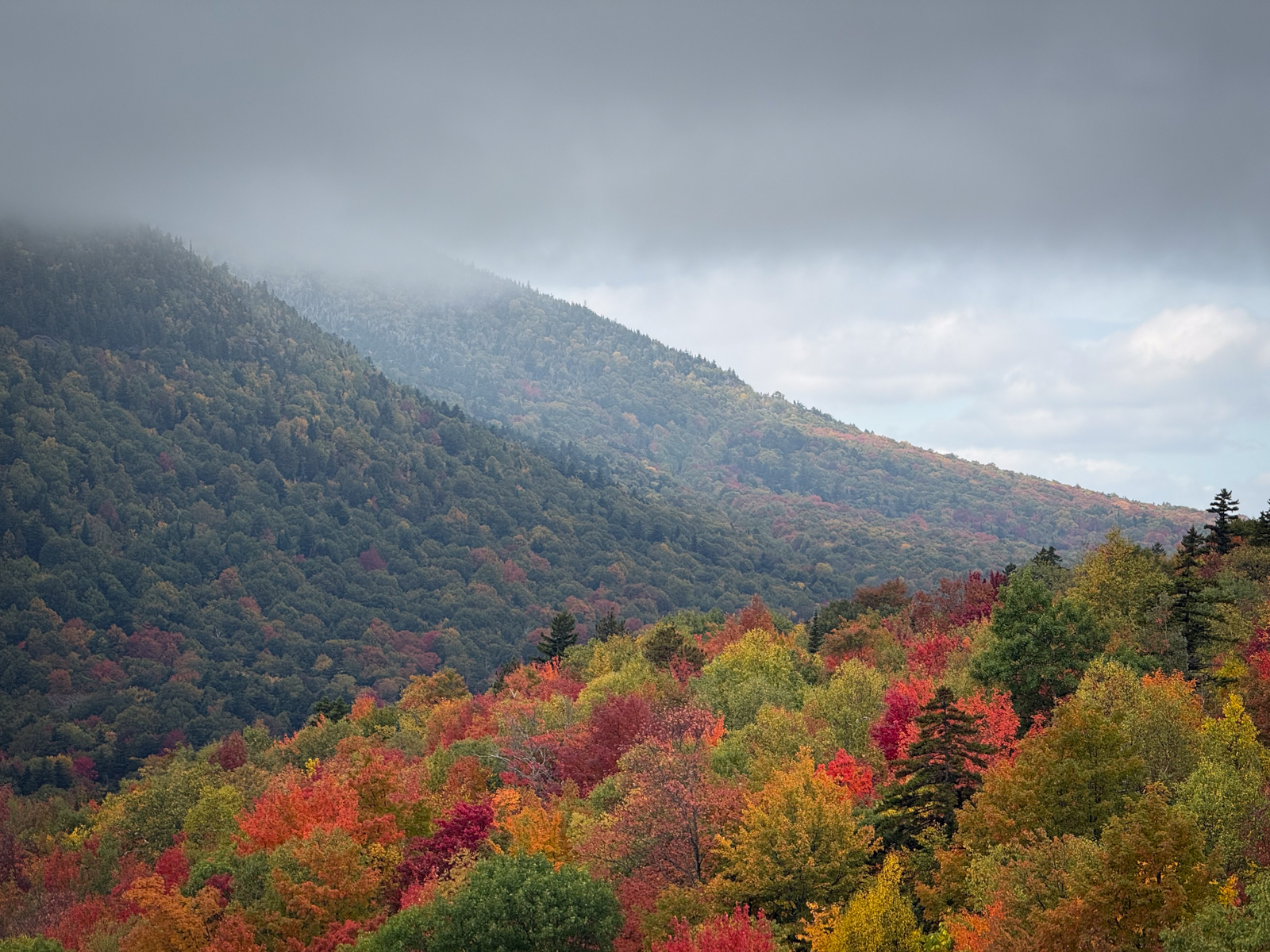 A misty mountain slope rising above a dense forest, with brilliant red, orange, and yellow fall foliage in the foreground.